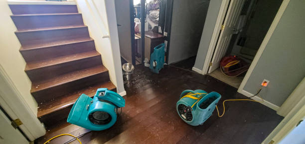 Best Ceiling water damage repair  in Horizon West, FL