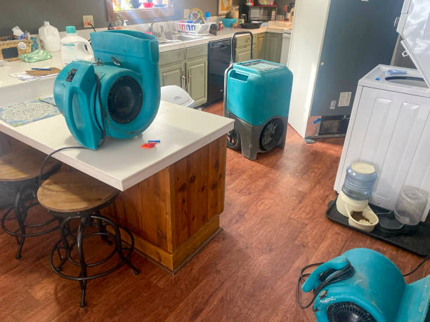 Best Carpet water damage restoration  in Horizon West, FL