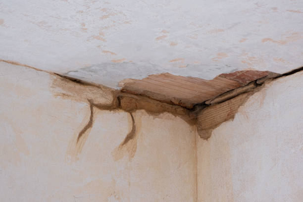Best Flood restoration services  in Horizon West, FL