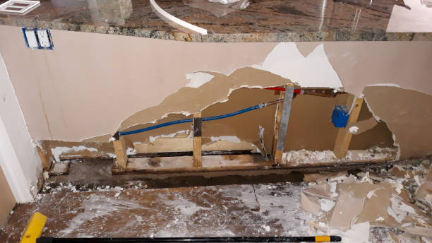 Best Water damage restoration services  in Horizon West, FL