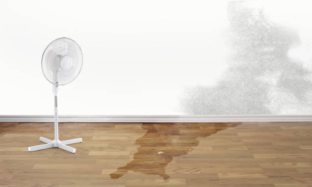 Fire Damage Restoration in Horizon West, FL