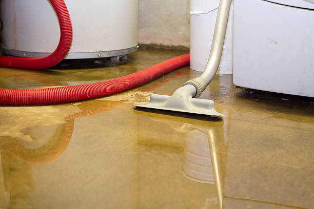Best Residential water damage restoration  in Horizon West, FL