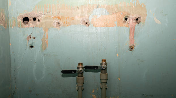 Best Water damage cleanup near me  in Horizon West, FL