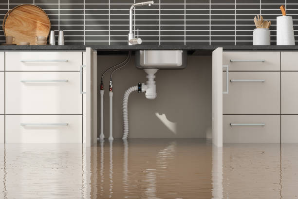 Best Basement water damage restoration  in Horizon West, FL