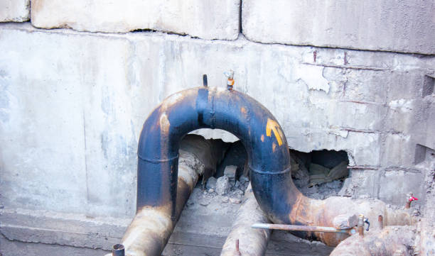 Best Water damage restoration near me  in Horizon West, FL