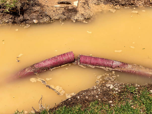 Best Emergency water damage restoration  in Horizon West, FL