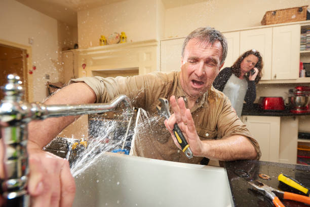 Best Water damage contractors near me  in Horizon West, FL
